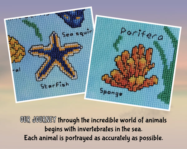 Animals Tree of Life Stitchalong. Close up photos of stitched Starfish and Sponge. Text reads: Our journey through the incredible world of animals begins with invertebrates in the sea. Each animal is portrayed as accurately as possible.