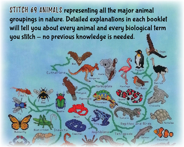 Animals Tree of Life Stitchalong. Stitch 69 animals representing all the major animal groupings in nature. Detailed explanations in each booklet will tell you about every animal and every biological term you stitch - no previous knowledge is needed.