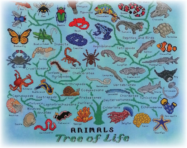 Animals Tree of Life Stitchalong. Stitch 69 animals representing all the major animal groupings in nature. Photograph of lower half of piece.