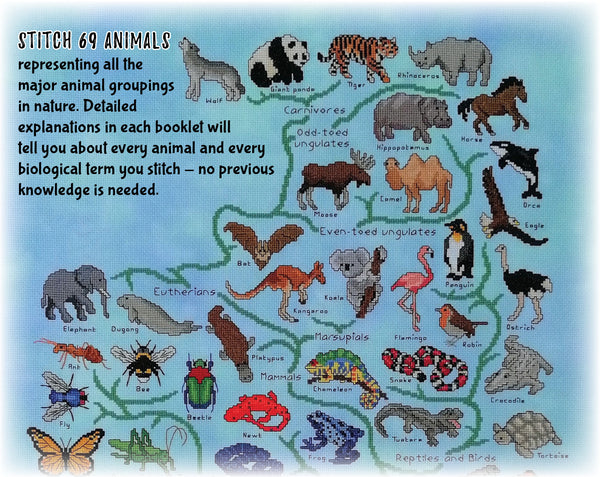 Animals Tree of Life Stitchalong. Stitch 69 animals representing all the major animal groupings in nature. Detailed explanations in each booklet will tell you about every animal and every biological term you stitch - no previous knowledge is needed.
