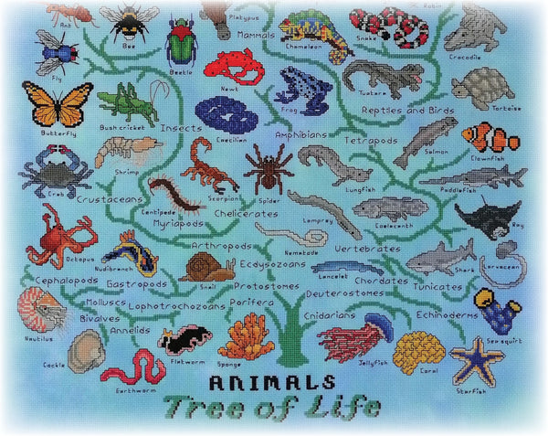 Animals Tree of Life Stitchalong. Stitch 69 animals representing all the major animal groupings in nature. Photograph of lower half of piece.