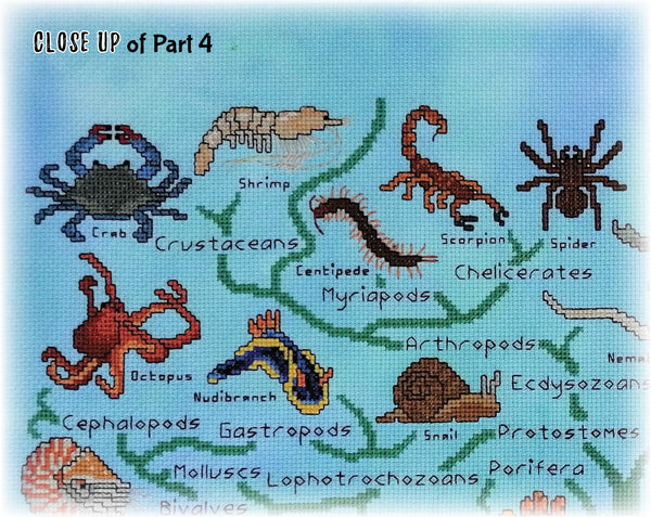 Animals Tree of Life Stitchalong. Close up of Part 4, showing nematode, spider, scorpion, centipede, shrimp and crab.