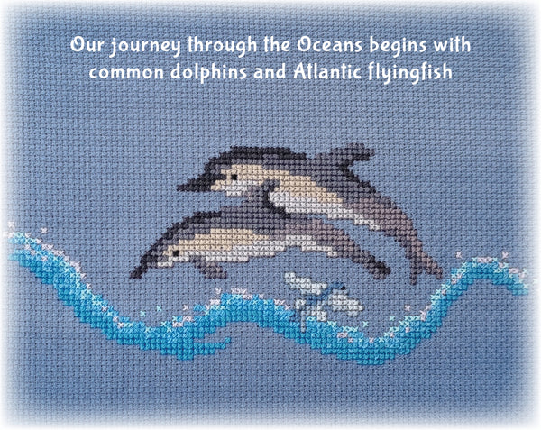 Ocean: Wonders of the Seas. A stitchalong by Climbing Goat Designs. Our journey through the Oceans begins with common dolphins and Atlantic flyingfish