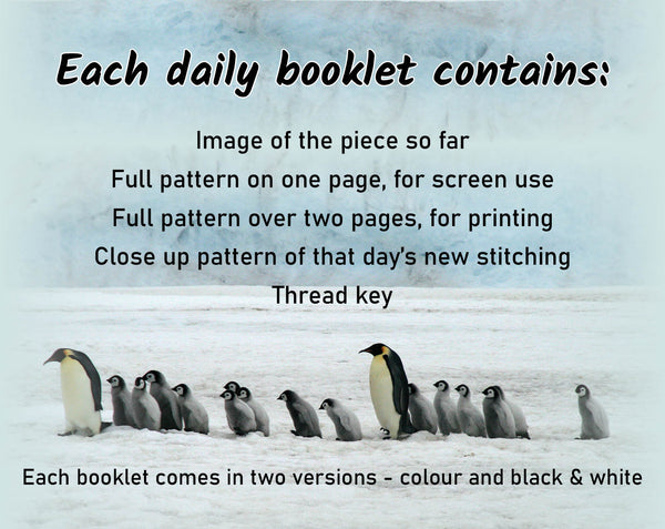 Penguins Advent Calendar Stitchalong cross stitch pattern. 

Each daily booklet contains:
Image of the piece so far
Full pattern on one page, for screen use
full pattern over two pages, for printing
close up pattern of that day's new stitching
Thread key

Each booklet comes in two versions - colour and black & white