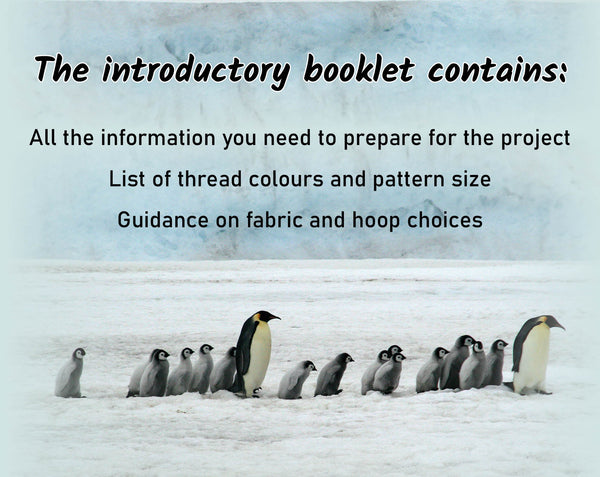 Penguins Advent Calendar Stitchalong cross stitch pattern.

The introductory booklet contains:

All the information you need to prepare for the project
List of thread colours and pattern sizes
Guidance on fabric and hoop choices
