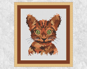 Splattered Paint Cat cross stitch pattern. Shown with frame.