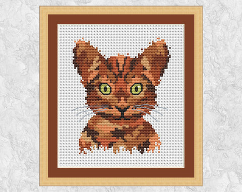 Splattered Paint Cat cross stitch pattern. Shown with frame.
