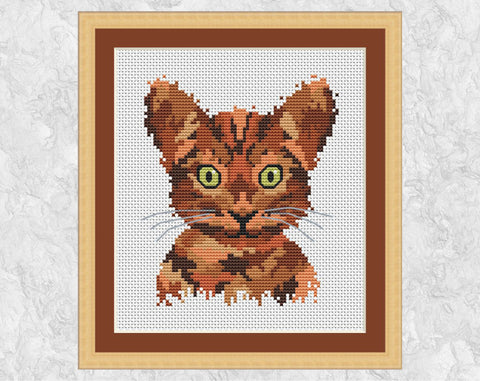 Splattered Paint Cat cross stitch pattern. Shown with frame.